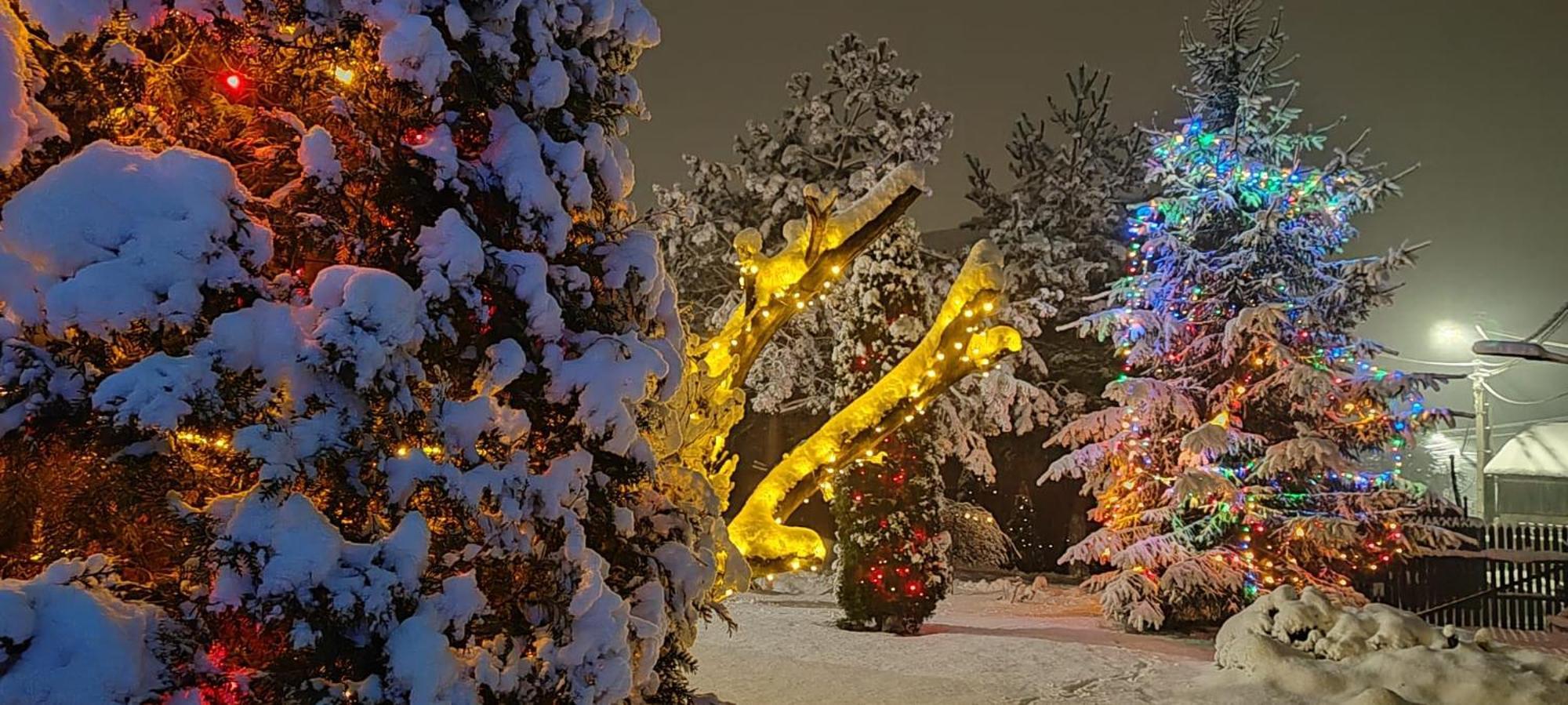 Vila Eden Garden Sovata Exteriér fotografie