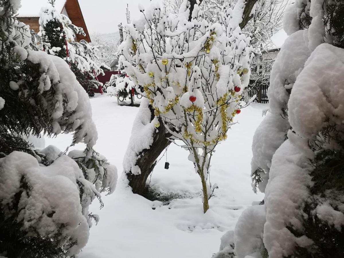 Vila Eden Garden Sovata Exteriér fotografie