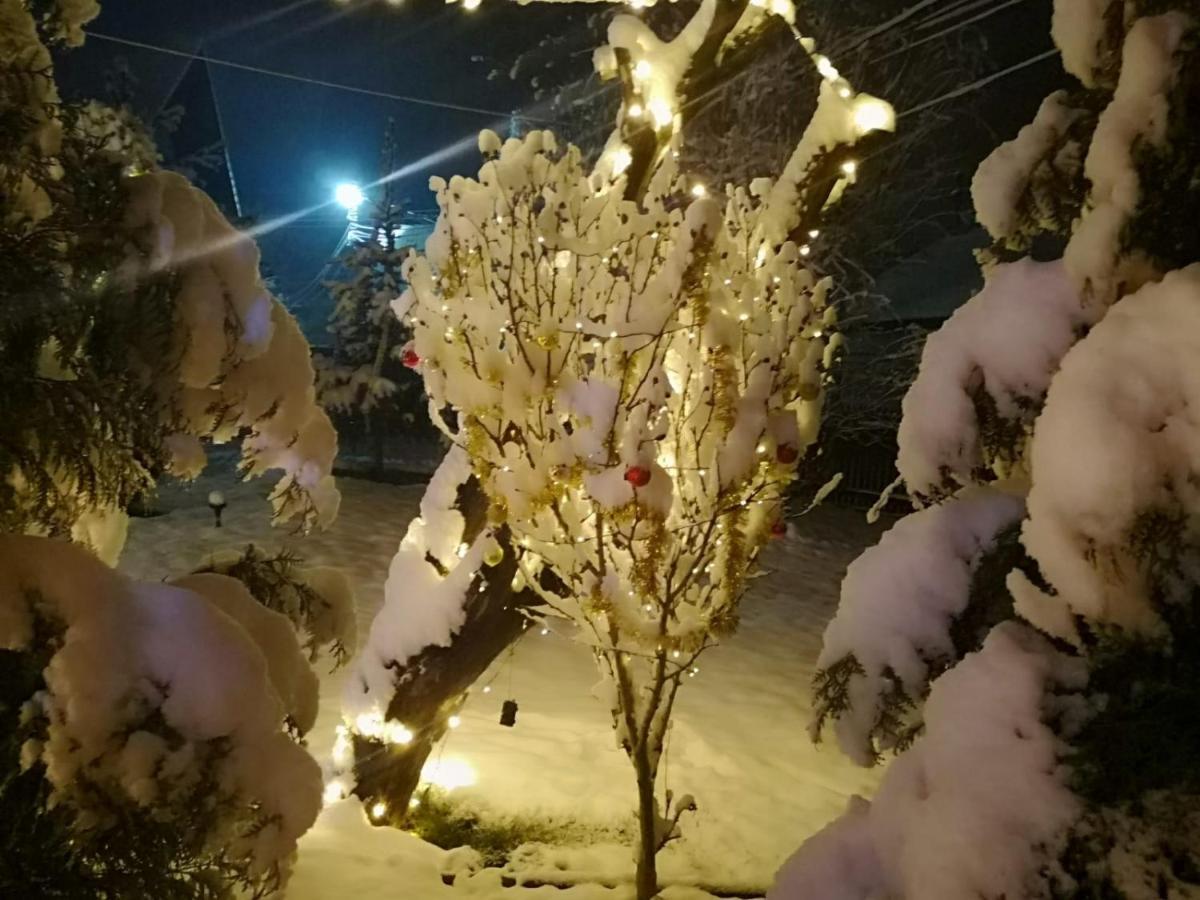 Vila Eden Garden Sovata Exteriér fotografie